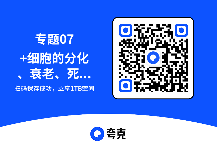 专题07