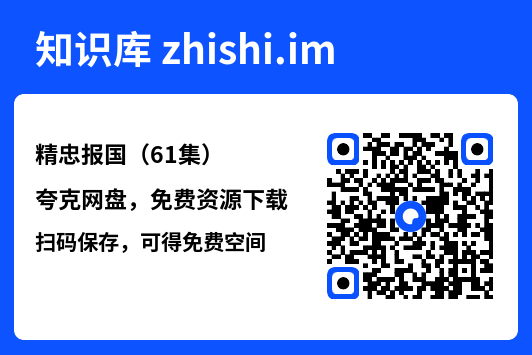 精忠报国(61集)"网盘下载"