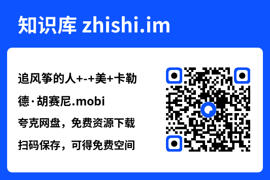 追风筝的人