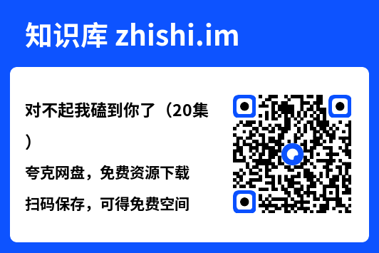 对不起我磕到你了(20集)"网盘下载"