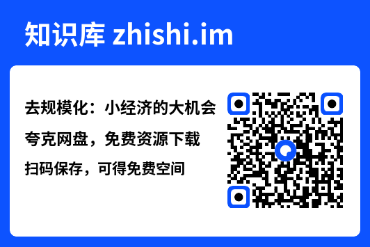 去规模化：小经济的大机会"网盘下载"